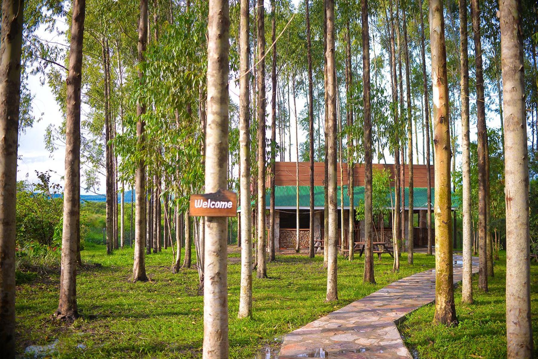 Kabalega Resort - Masindi Εξωτερικό φωτογραφία
