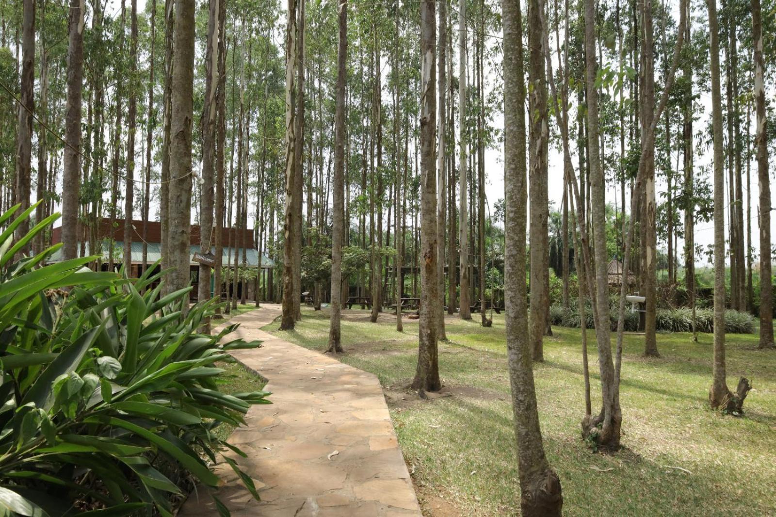 Kabalega Resort - Masindi Εξωτερικό φωτογραφία